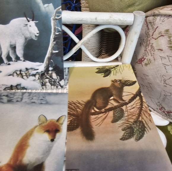 Vintage Unused Postcards - Picture 3 of 5